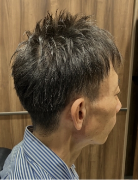 スタイルギャラリー