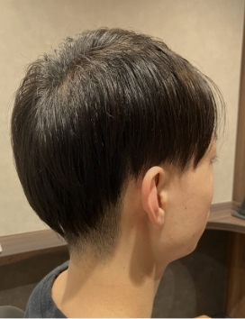 スタイルギャラリー