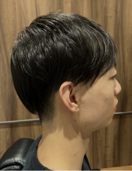 スタイルギャラリー