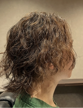 スタイルギャラリー